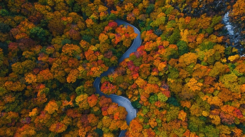 Covered bridge in Brattleboro