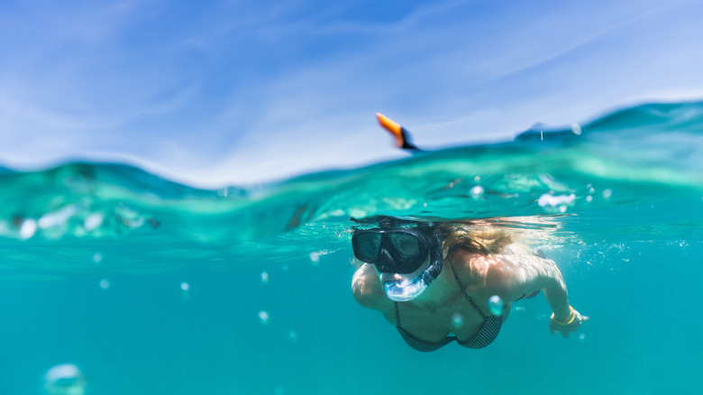 Snorkeling at the ocean surface