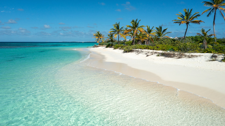 White sand beach in the Caribbean island of Anguilla