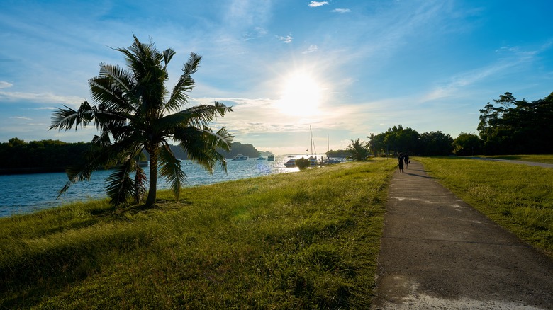 Paved walkway by the beach