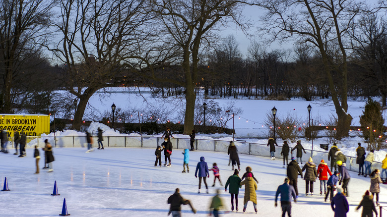 People enjoying the outdoor ice rink in Prospect Park, Brooklyn