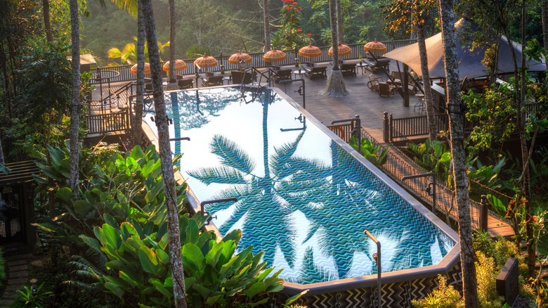 The Cistern saltwater swimming pool in Ubud, Bali