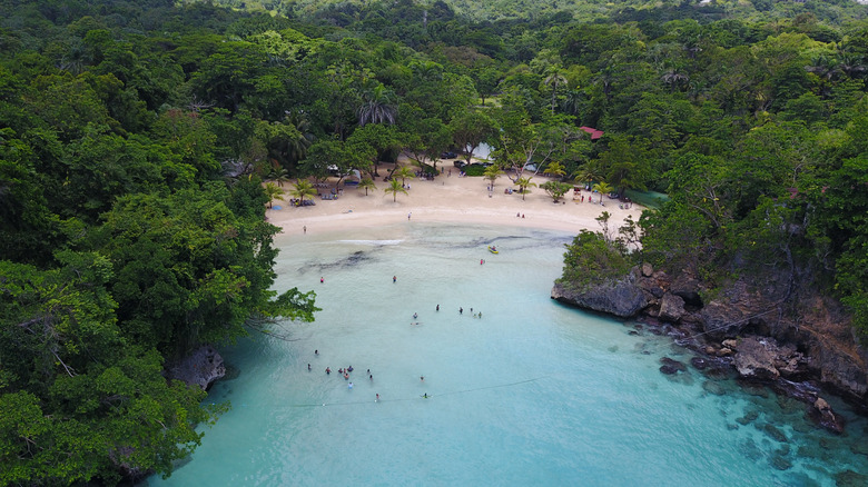 Frenchman's Cove aerial view