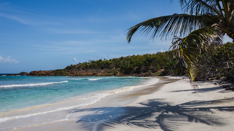 Playa Zoni in Puerto Rico