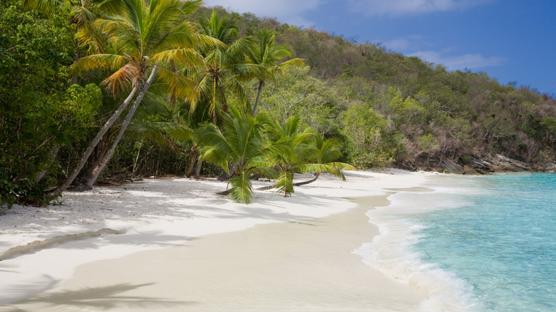 Salomon Beach in St. John