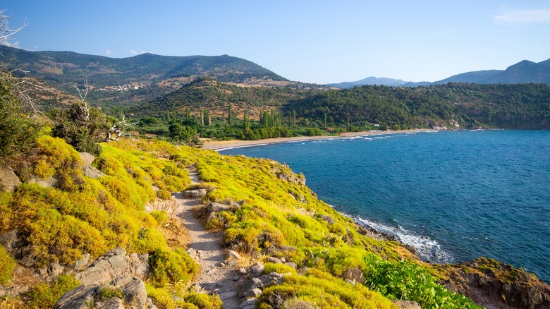 A hiking path above a beach