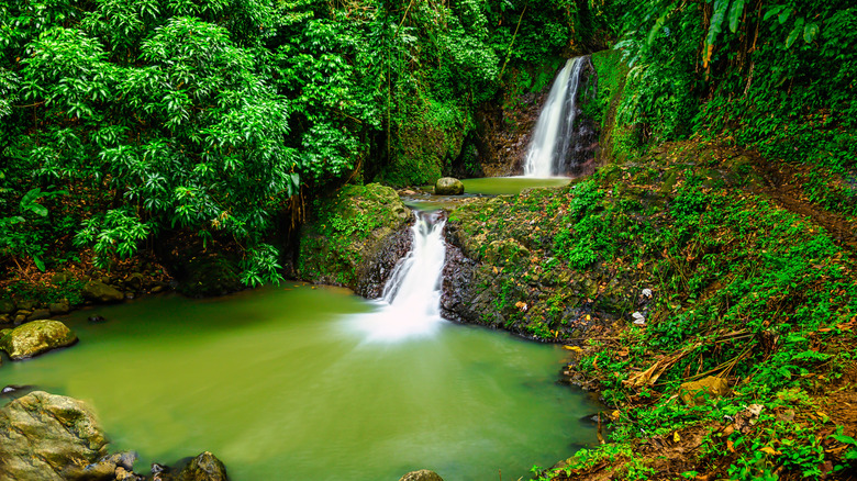 Double cascade at Seven Sisters Waterfalls in Grenada