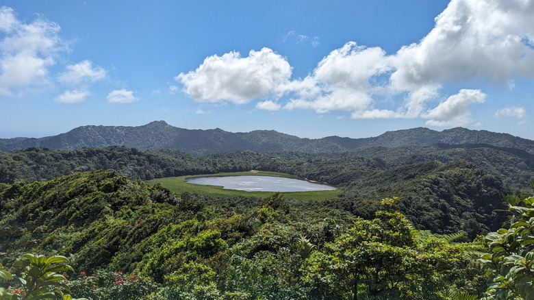 Crater lake surrounded by lush rainforest at Grad Etang National Park