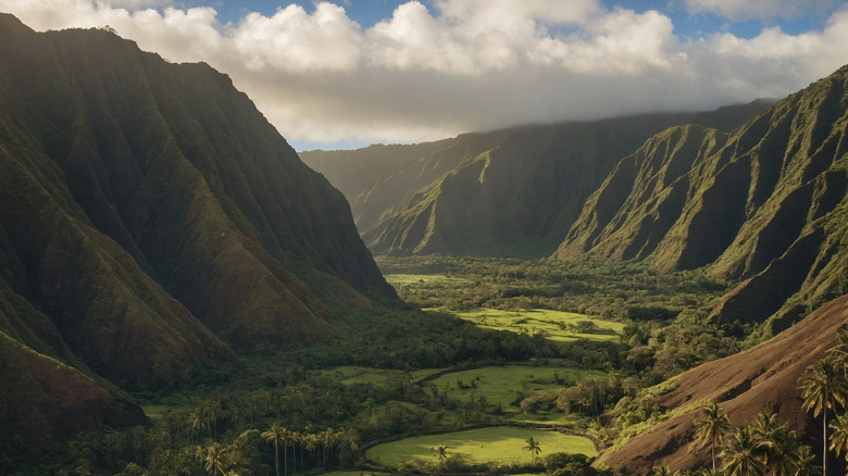 Waipiʻo Valley at the Hamakua Coast in Hawaii