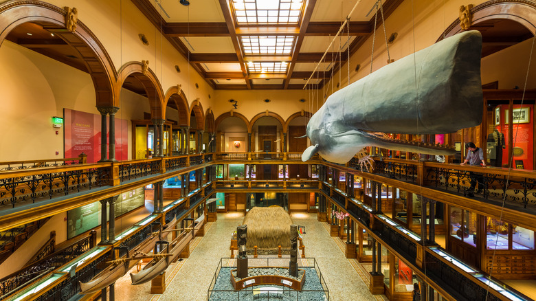 Statues and exhibits in the Hawaiian Hall at the Bishop Museum