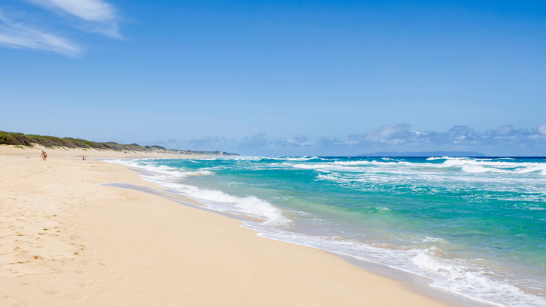 Beach landscape with clear blue water and white sand at Polihale State Park