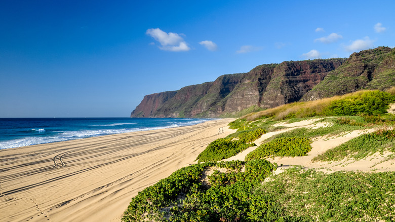 Expansive view of beach, dunes, and cliffs at Polihale State Park