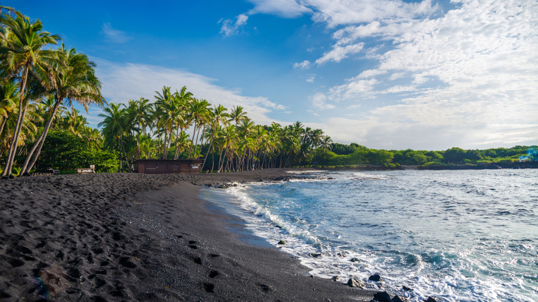 Panoramic view of a black sand beach lined with palm trees