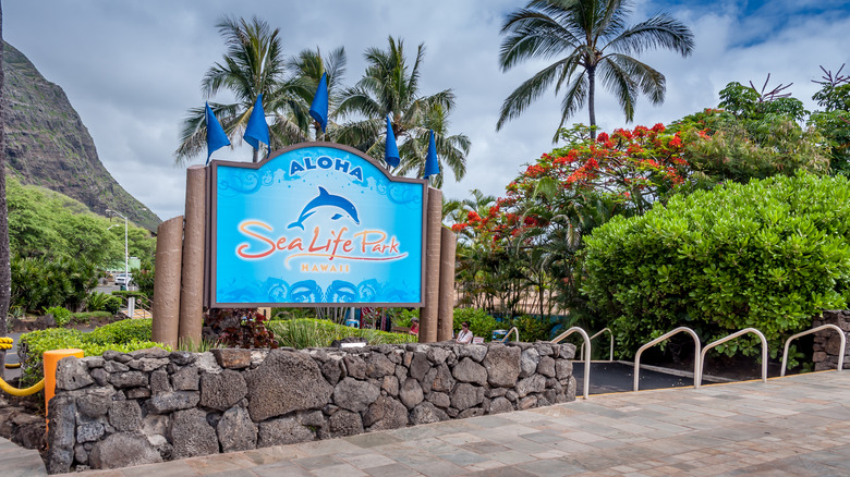 Sea Life Park Oahu