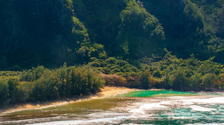 lush greenery overlooks a sparkling beach in Kauai