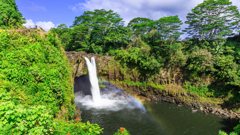 Rainbow Falls Hawaii