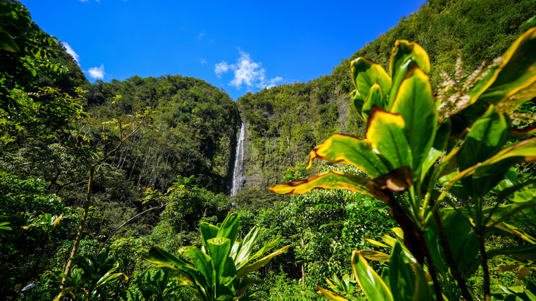 Hawaii's Third-Largest Volcano Is Surrounded By A Stunning National ...