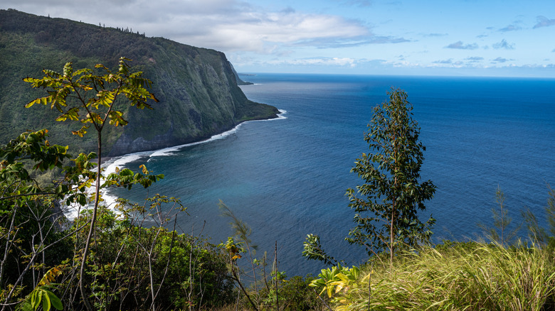 View of the ocean from Honoka'a, Hawai'i