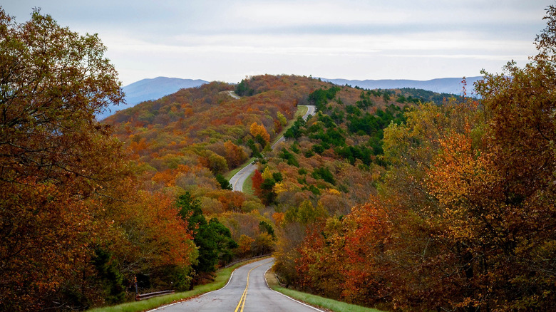 a roadway and fall foliage in Oklahoma