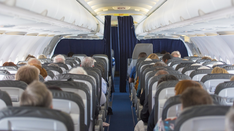 Passengers in the economy cabin