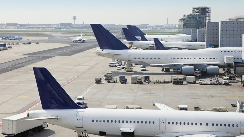 A row of planes parked in terminal