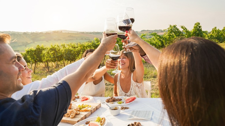 Friends toasting with wine