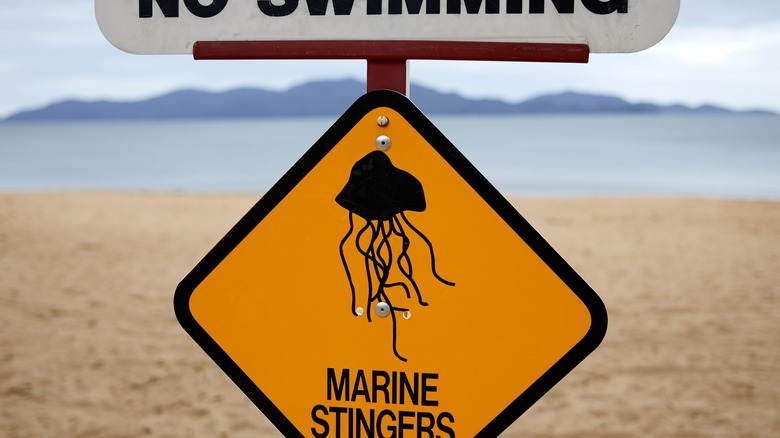 jellyfish beach warning sign