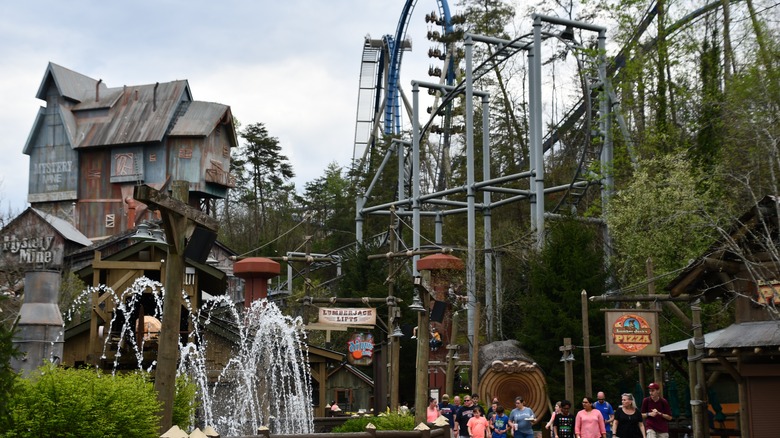 Dollywood Theme Park rides