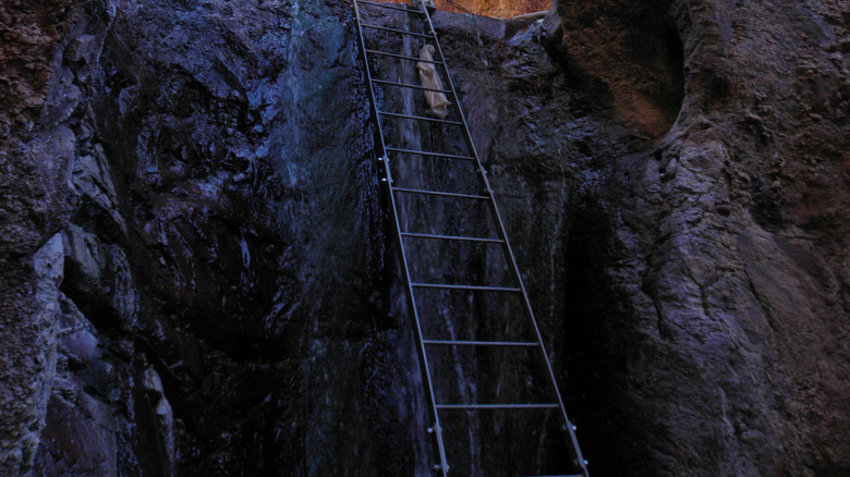 Ladder propped against canyon rock