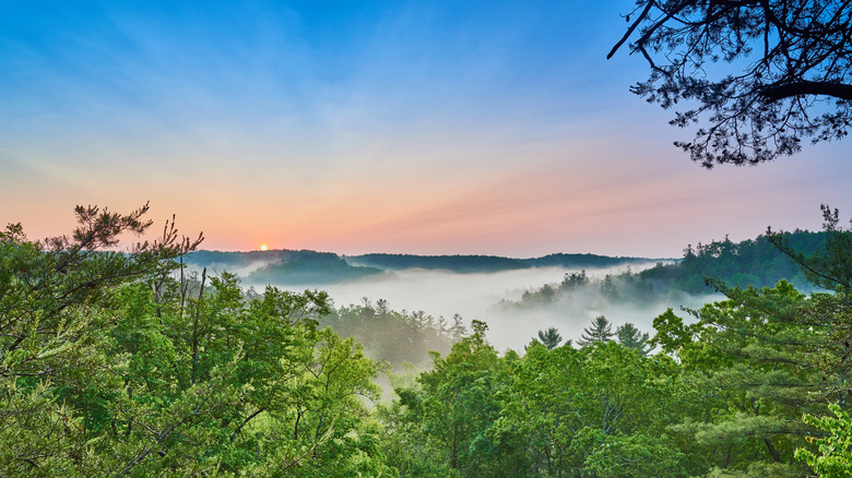 Sunrise Red River Gorge at sunrise