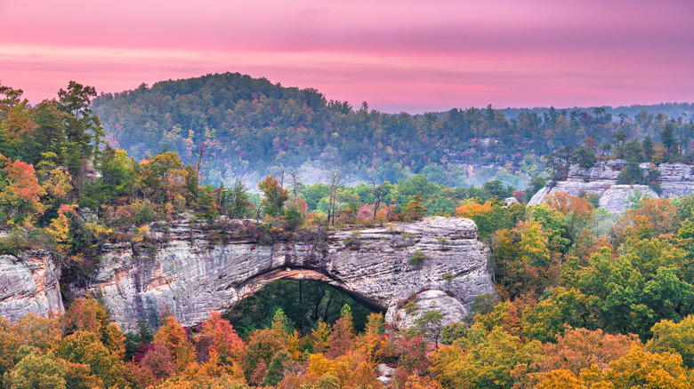 Dusk at Daniel Boone National Park