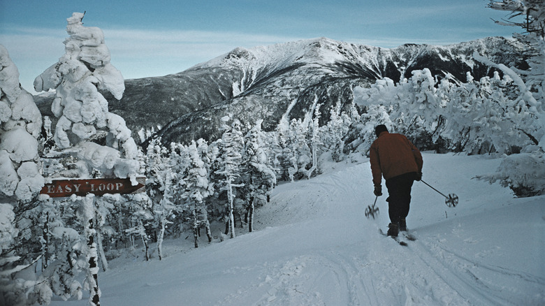 A skier going down Cannon Mountain's snowy easy loop