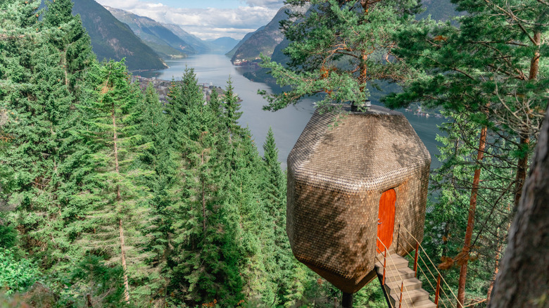 Woodnest treehouse on forest mountain