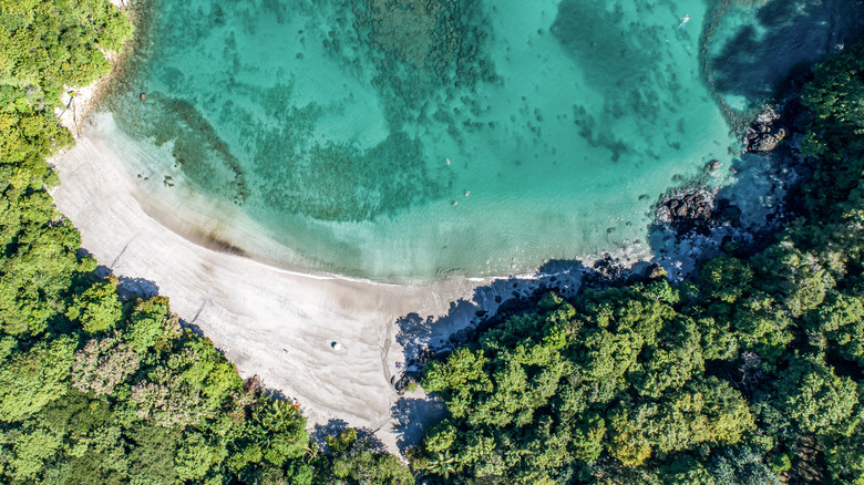 Aerial View of Tropical Biesanz beach and coastline near the Manuel Antonio national park, Costa Rica