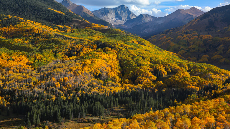 Mountain view in fall colors