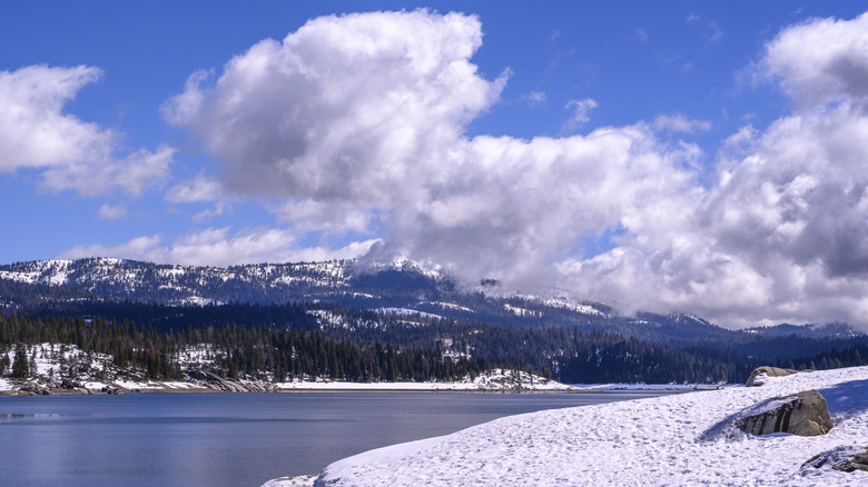 California's Shaver Lake surrounded by snow