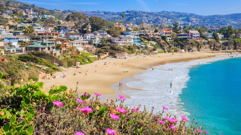 Laguna Beach skyline