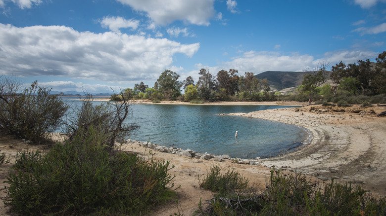 Lake in California park