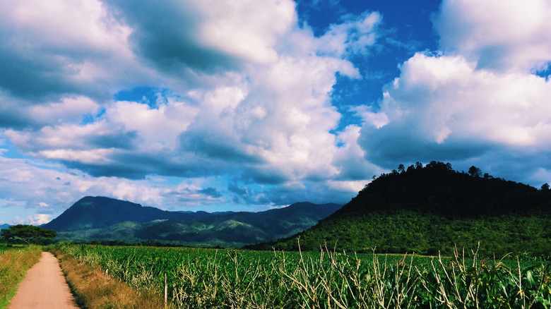 The Yoro Valley in Honduras