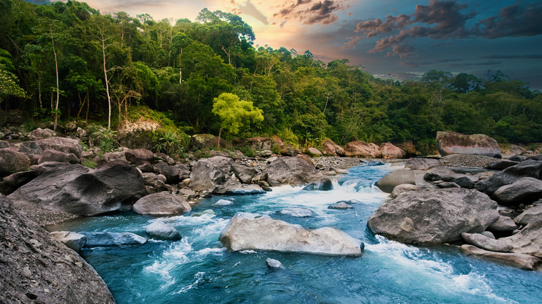 The Cangrejal River in Honduras