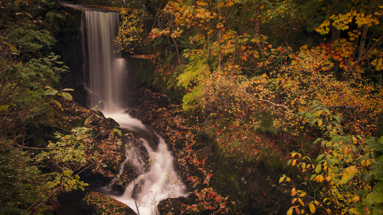 Watefall surrounded by autumnal leaves