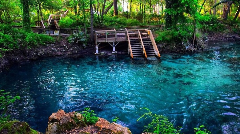 Wood stairs into Madison Blue Spring