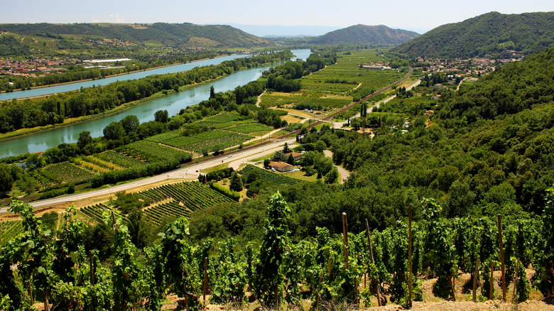 Rhône Valley wine region