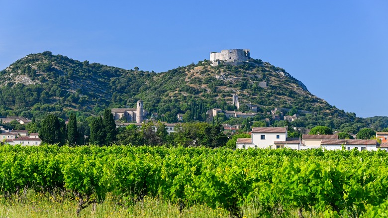 Vineyard and castle in Saint-Victor-La-Coste, France