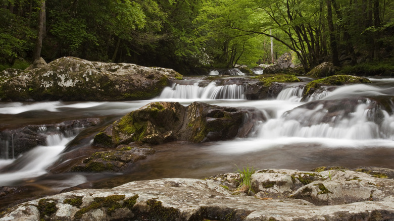 The rushing Little River near Townsend Wye in Tennessee