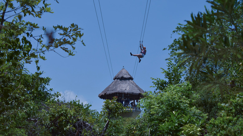 Person on a jungle zipline