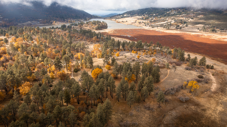 Fall foliage surrounding Julian, CA