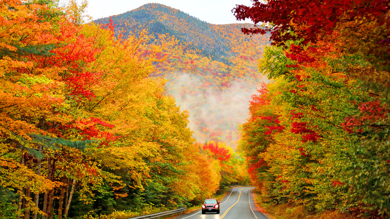 Kancamagus Highway in the autumn in Maine