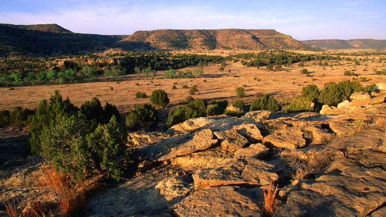 Black Mesa State Park landscape in Oklahoma