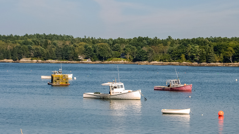 Boats on the Broad Cove Reserve